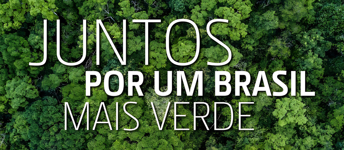 Imagem 03